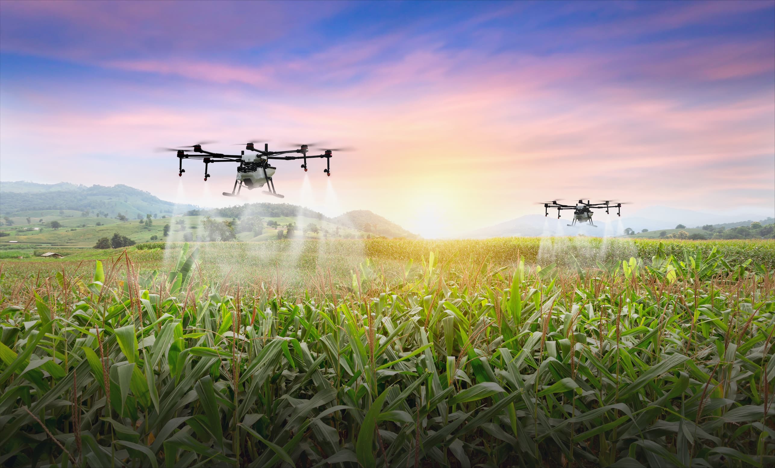 Agritech offers path to food security in Middle East and North Africa