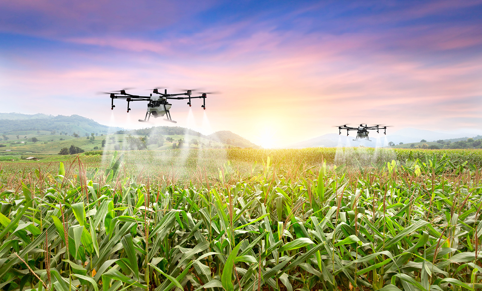 Agritech offers path to food security in Middle East and North Africa