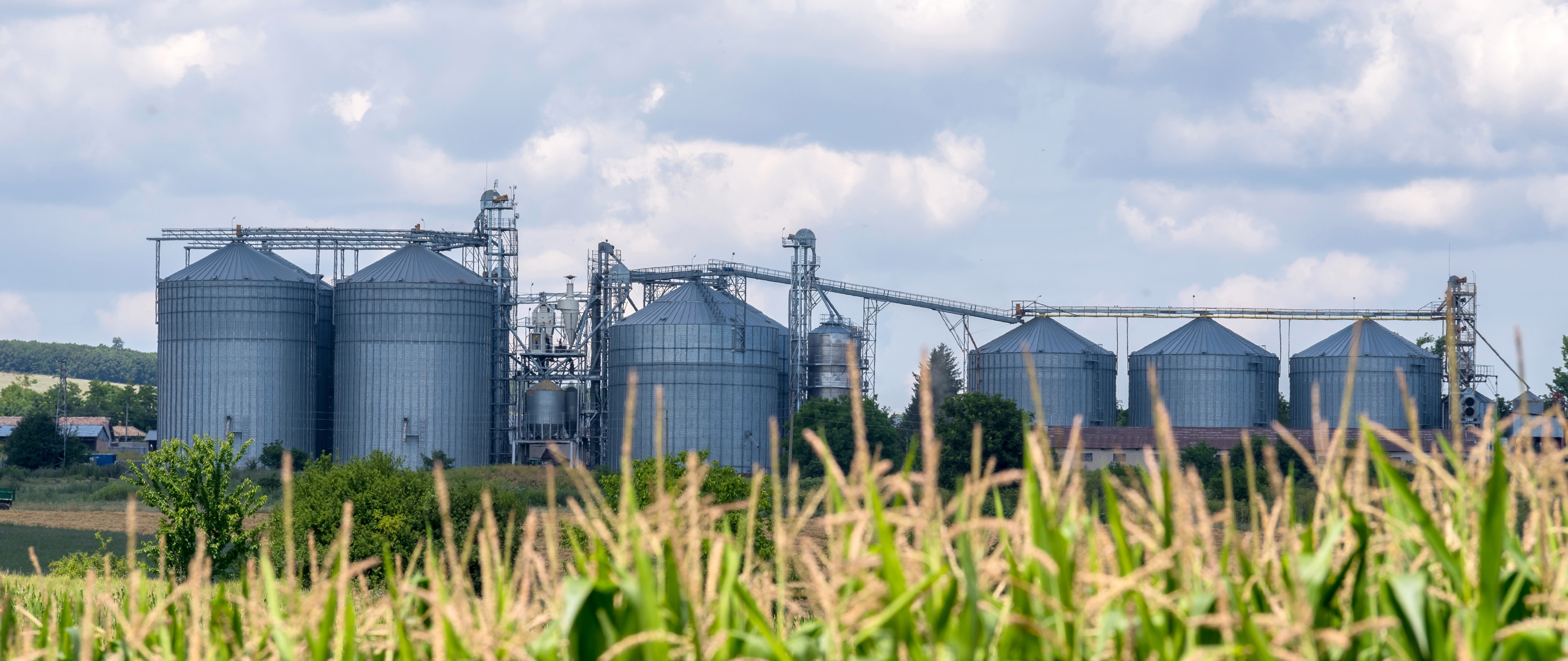 Russia and Ukraine account for nearly a third of the world’s wheat and a quarter of barley production